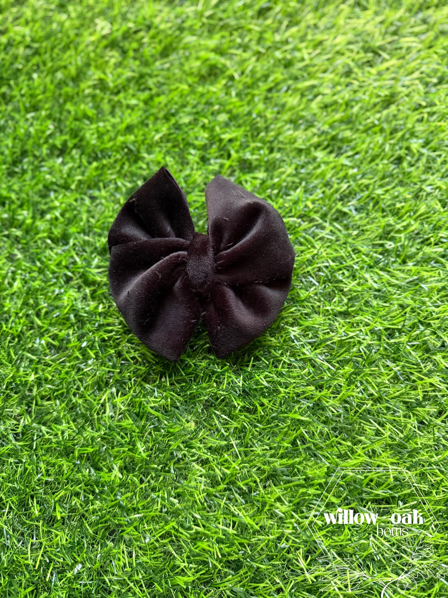 black plush