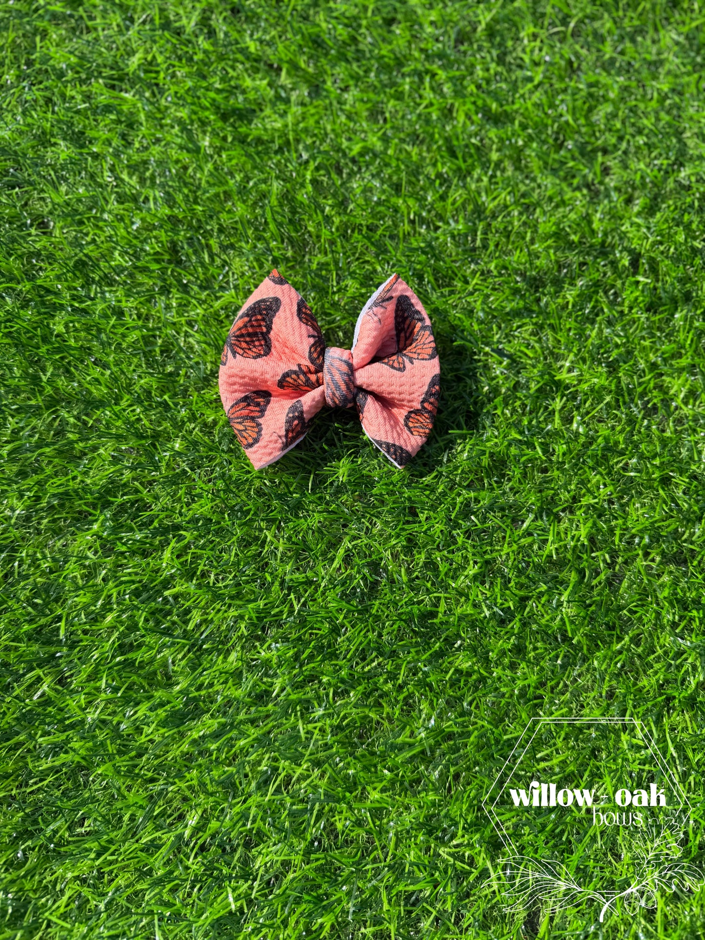 butterfly